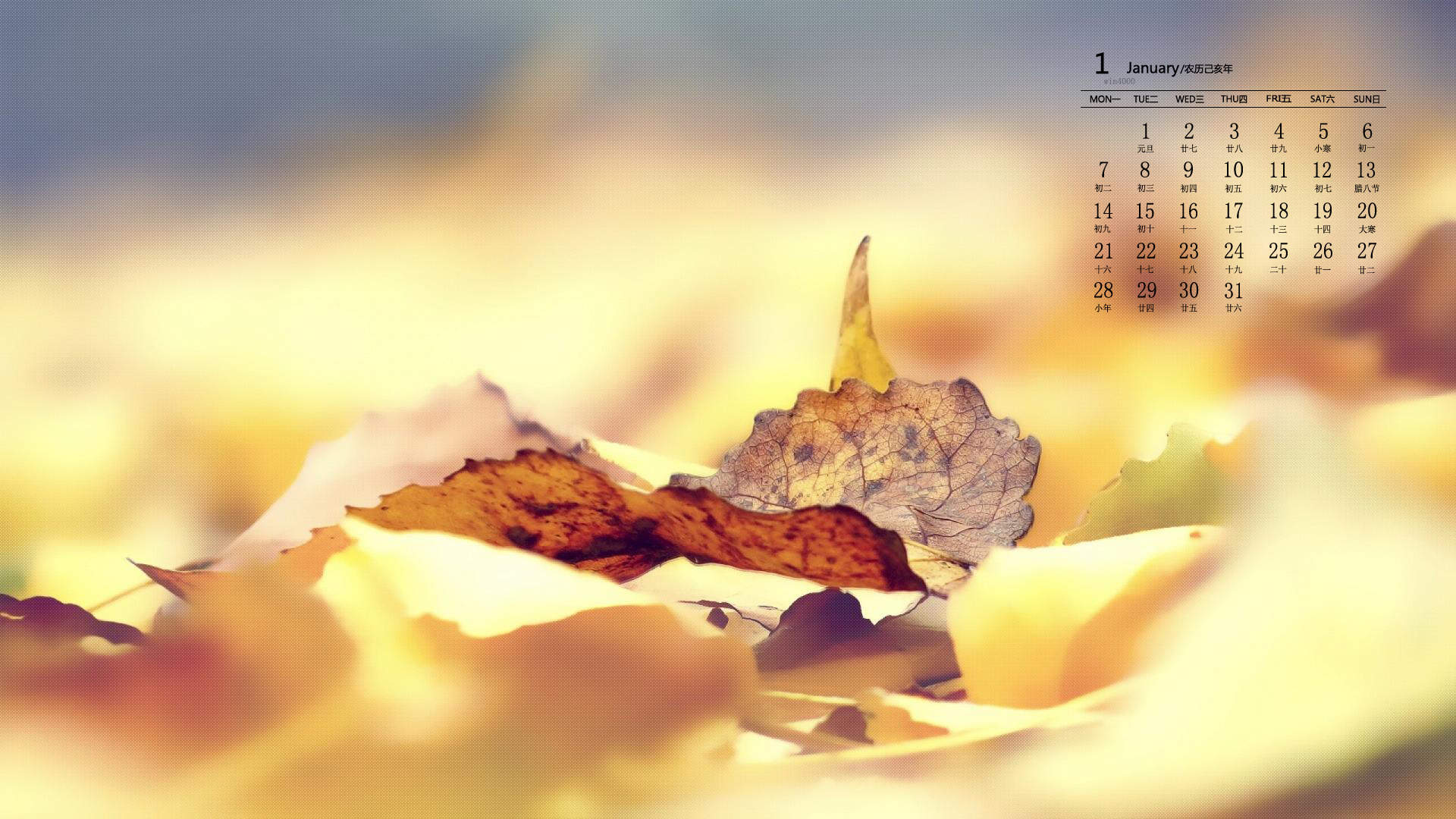 唯美清新绿色植物花卉高清摄影素材图片欣赏图片