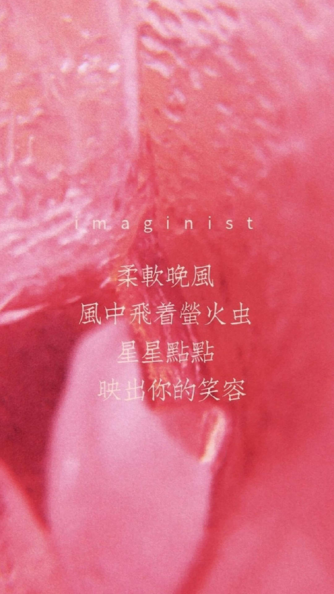 清新暖心情话文艺范手机壁纸图片