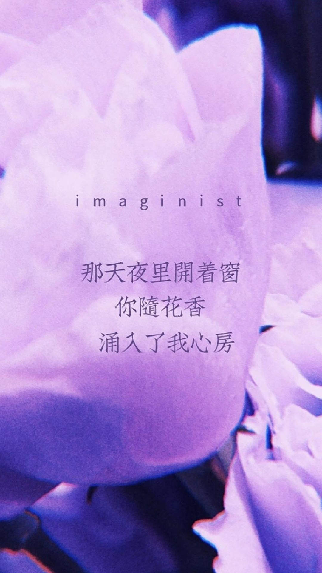 清新暖心情话文艺范手机壁纸图片