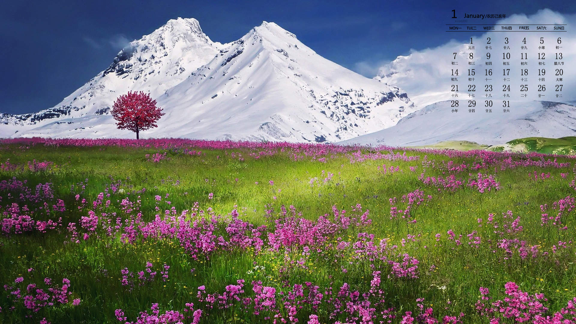 自然山水风景手机壁纸图片图片