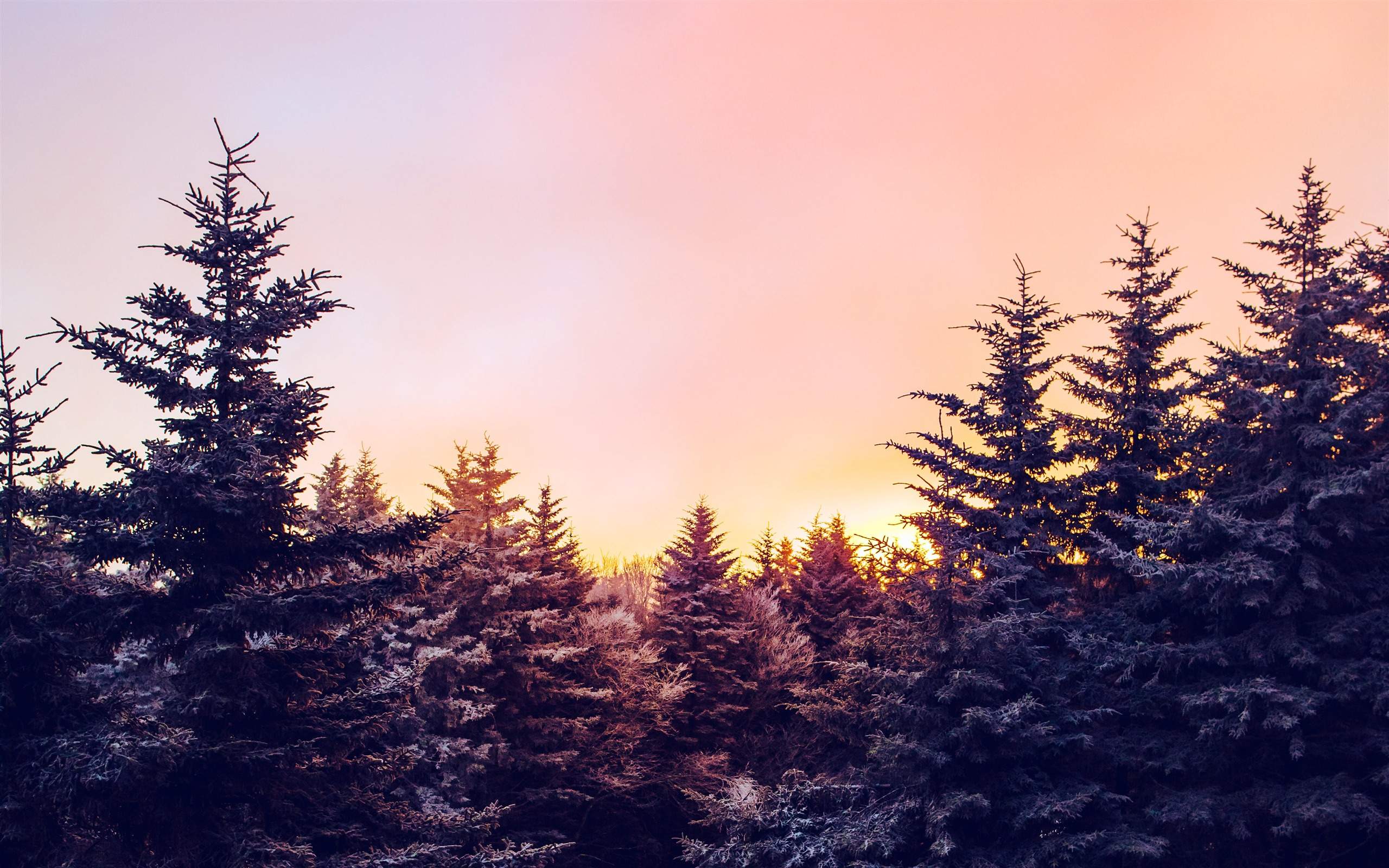 郑秀妍日本函馆冬日雪景唯美写真图片图片