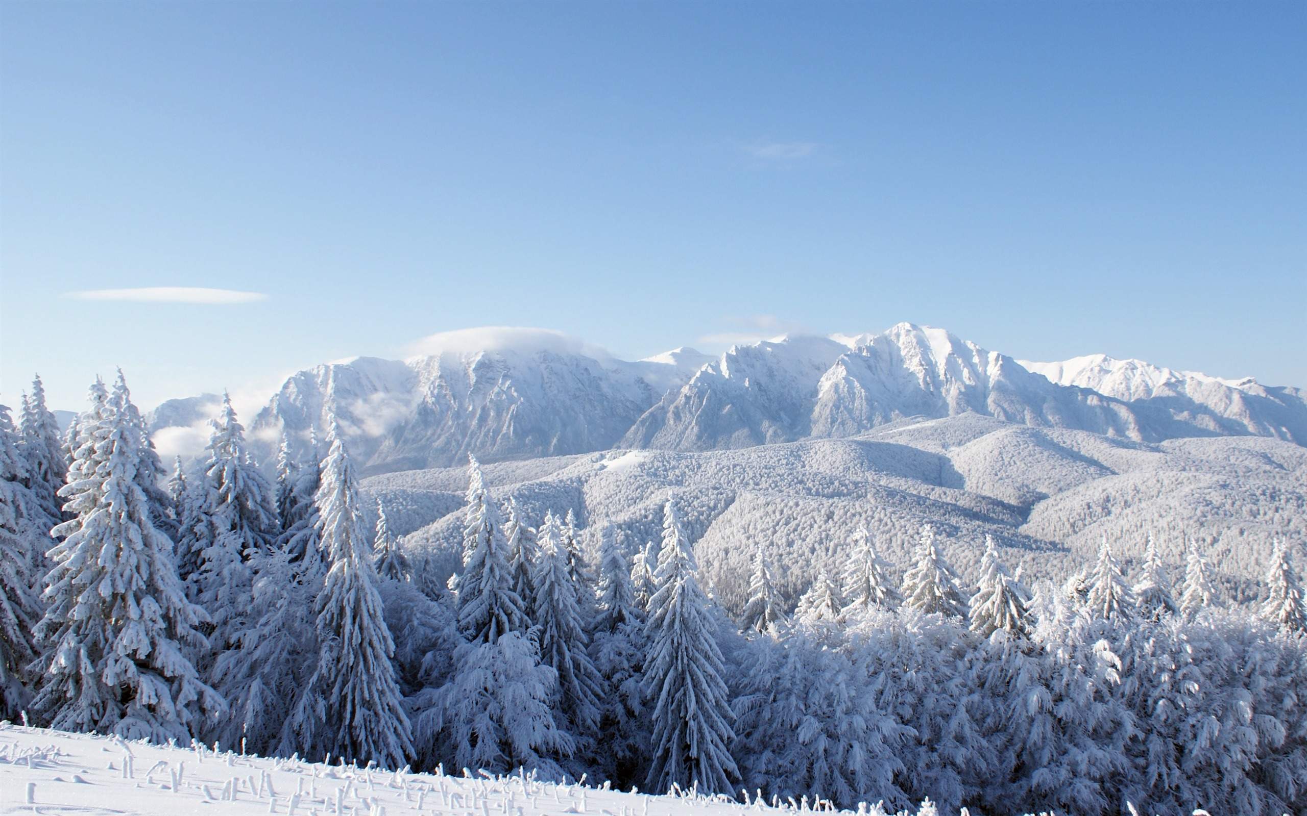 郑秀妍日本函馆冬日雪景唯美写真图片图片