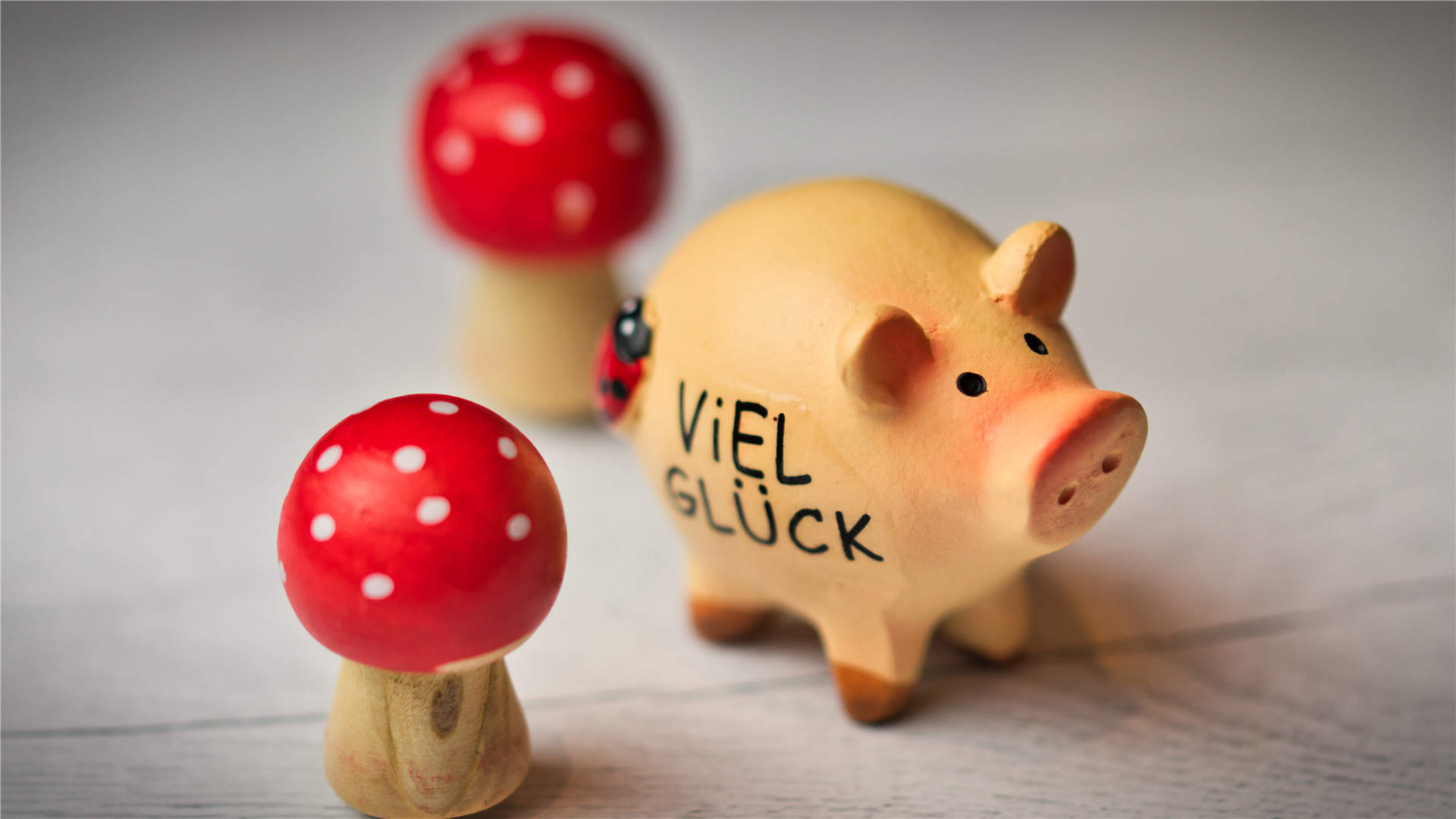 软萌可爱卡通小猪图片手机壁纸图片