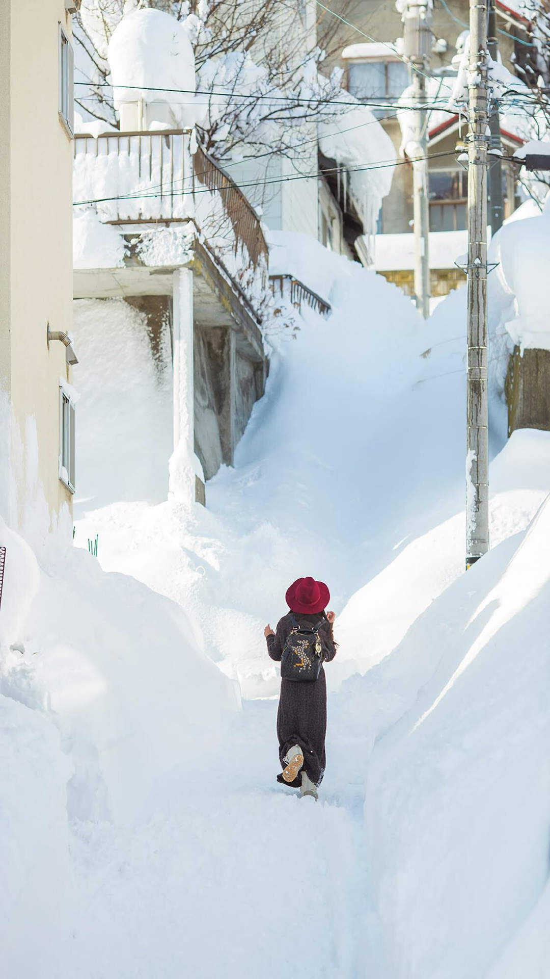 雪景图片