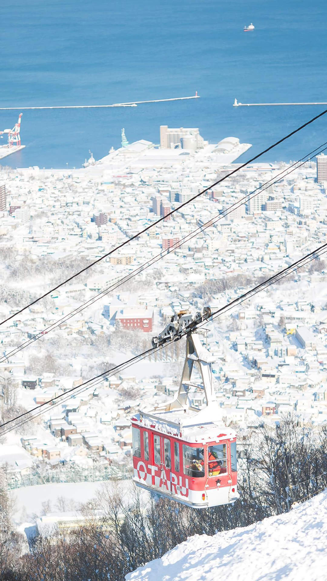 北海道雪景图片高清手机壁纸图片