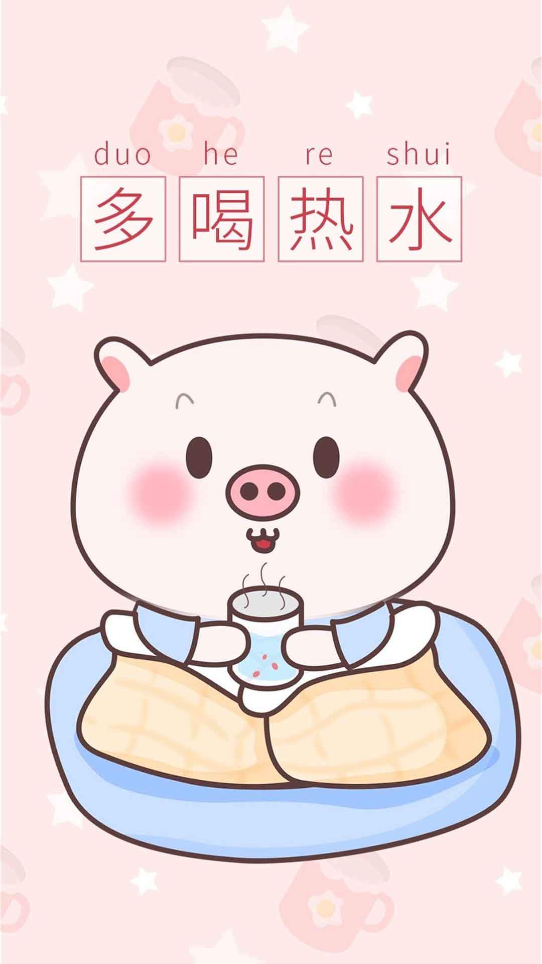 小猪图片