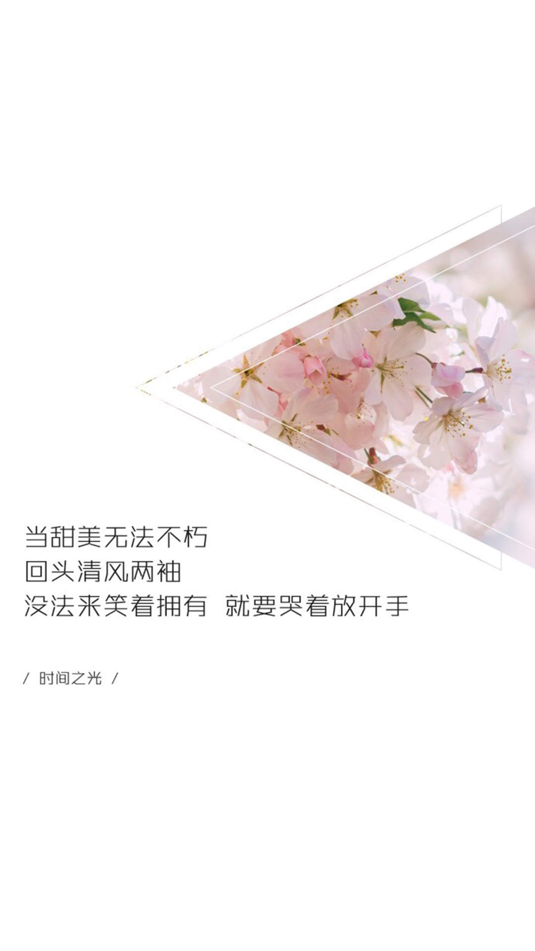 简约创意文字控图片手机壁纸图片