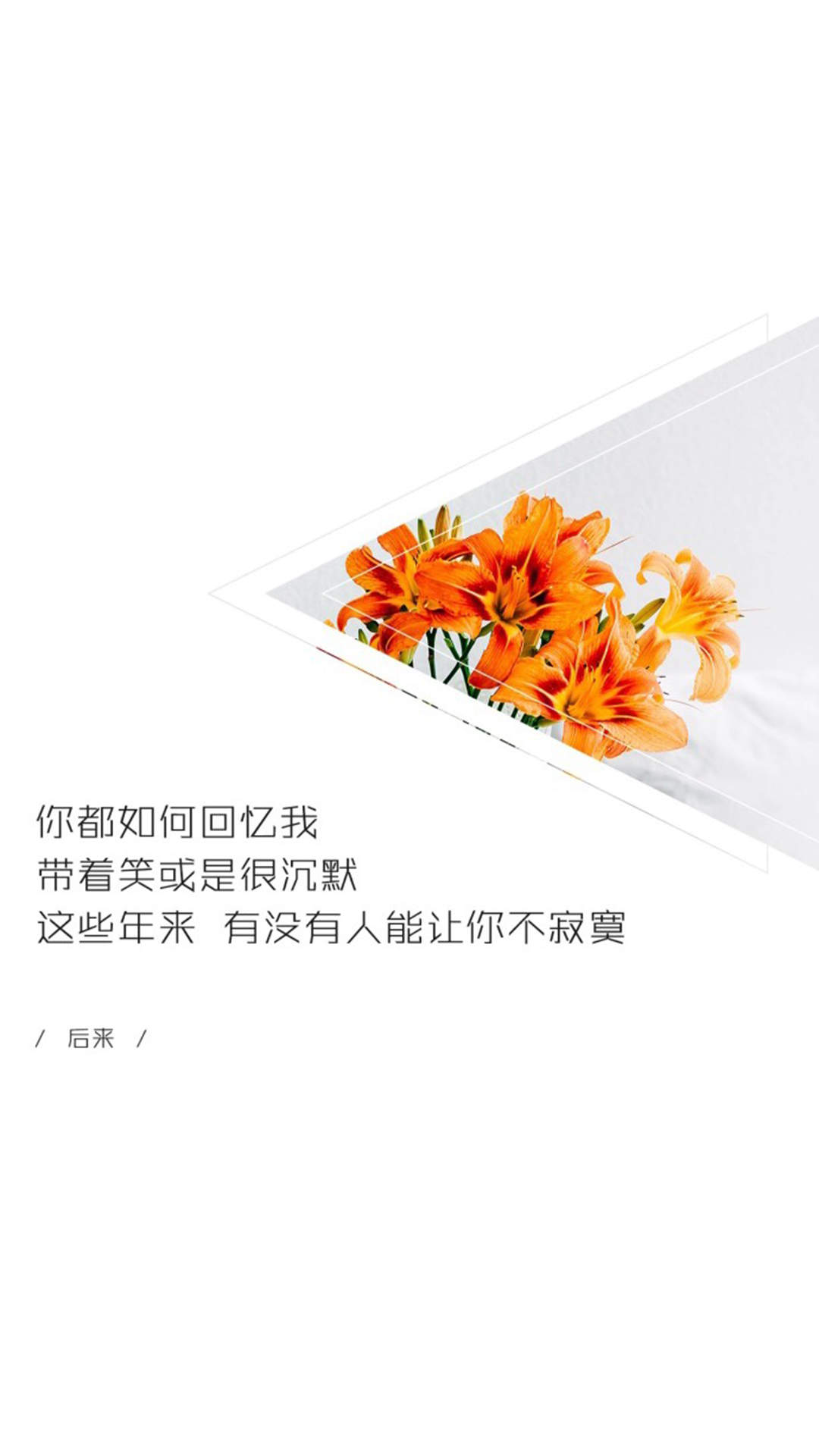 纯黑背景文字控手机壁纸图片