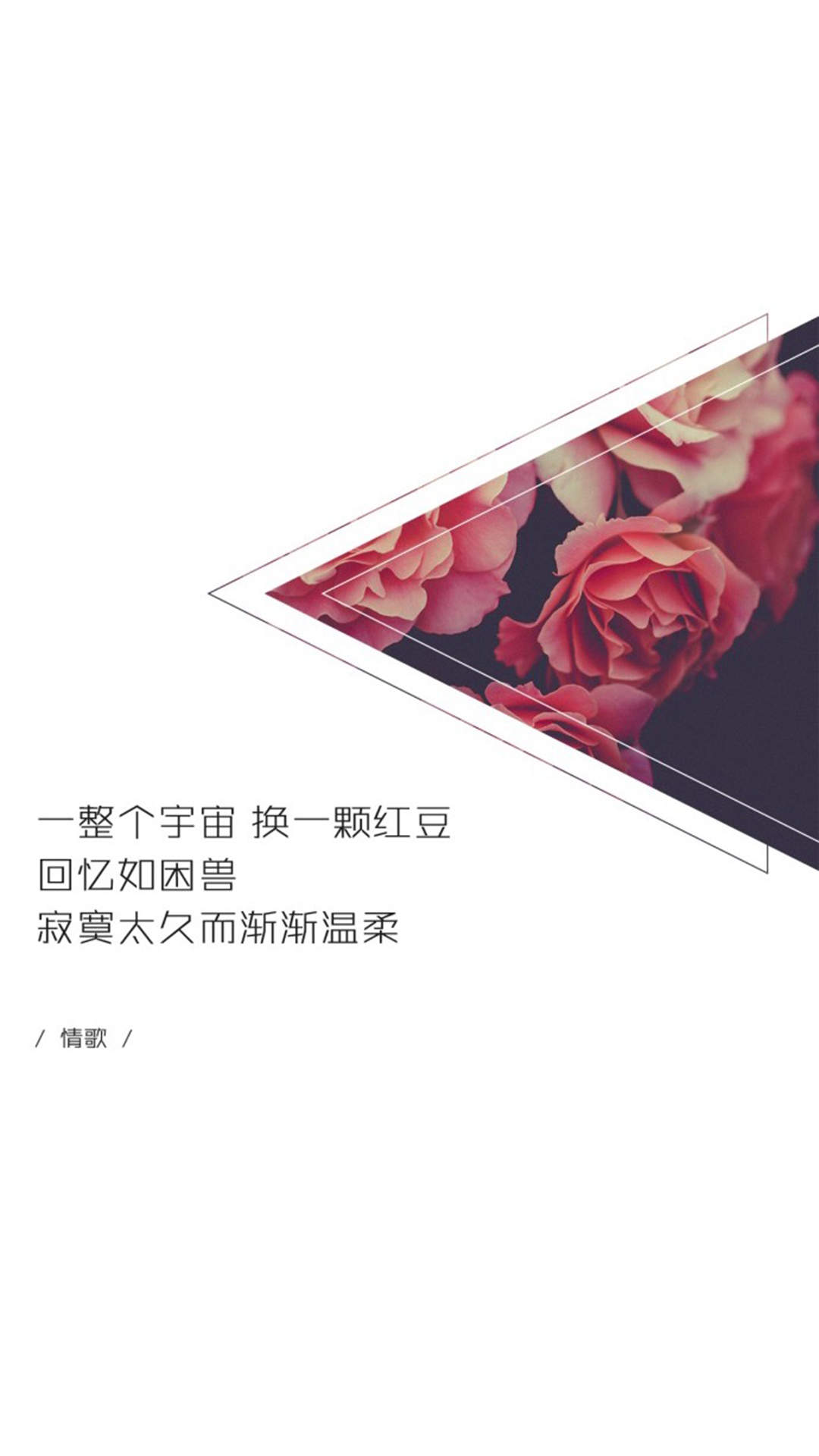 精选文字控创意图片手机壁纸图片