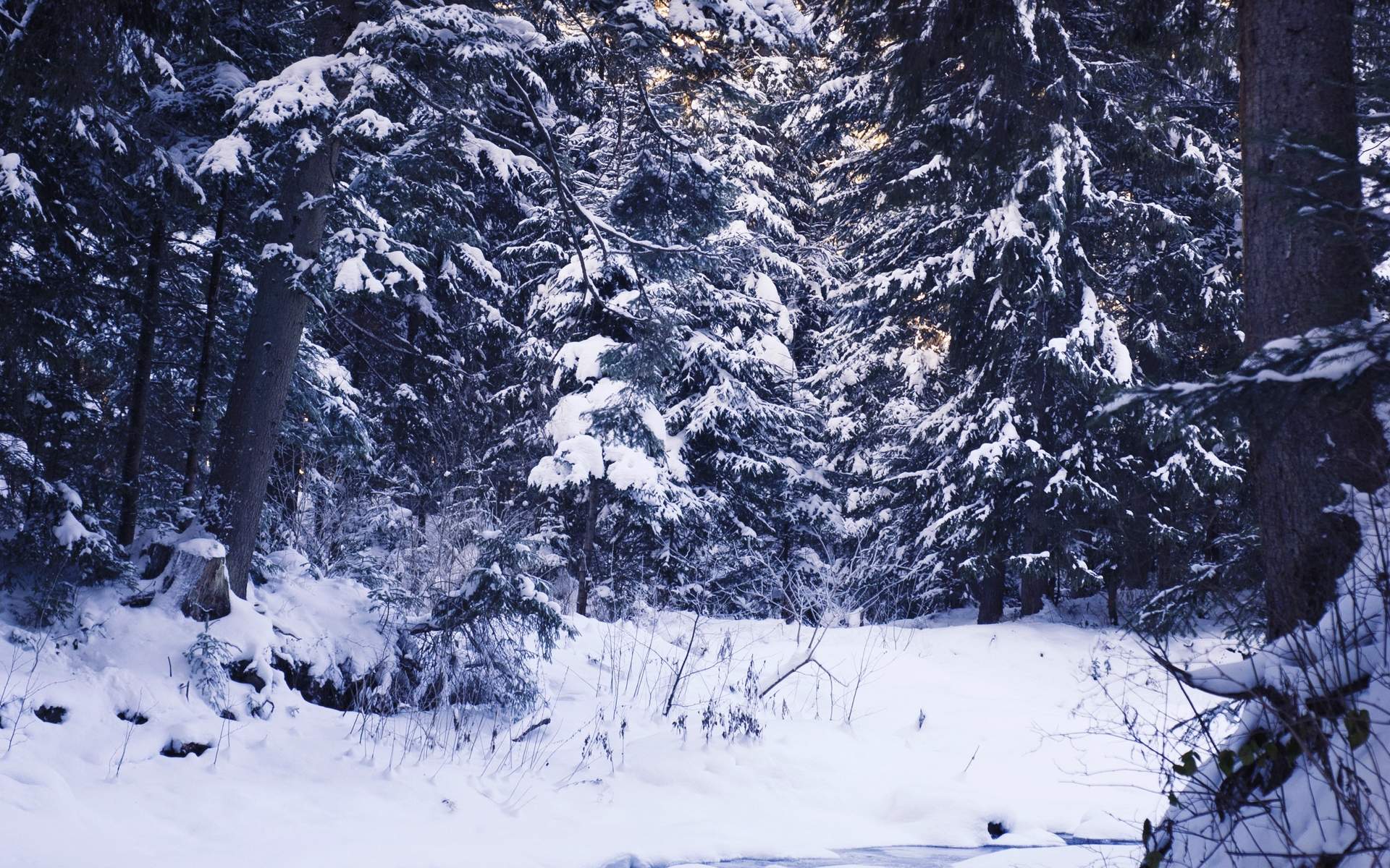 郑秀妍日本函馆冬日雪景唯美写真图片图片