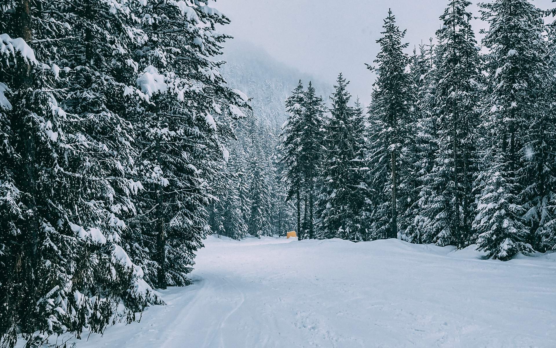 郑秀妍日本函馆冬日雪景唯美写真图片图片