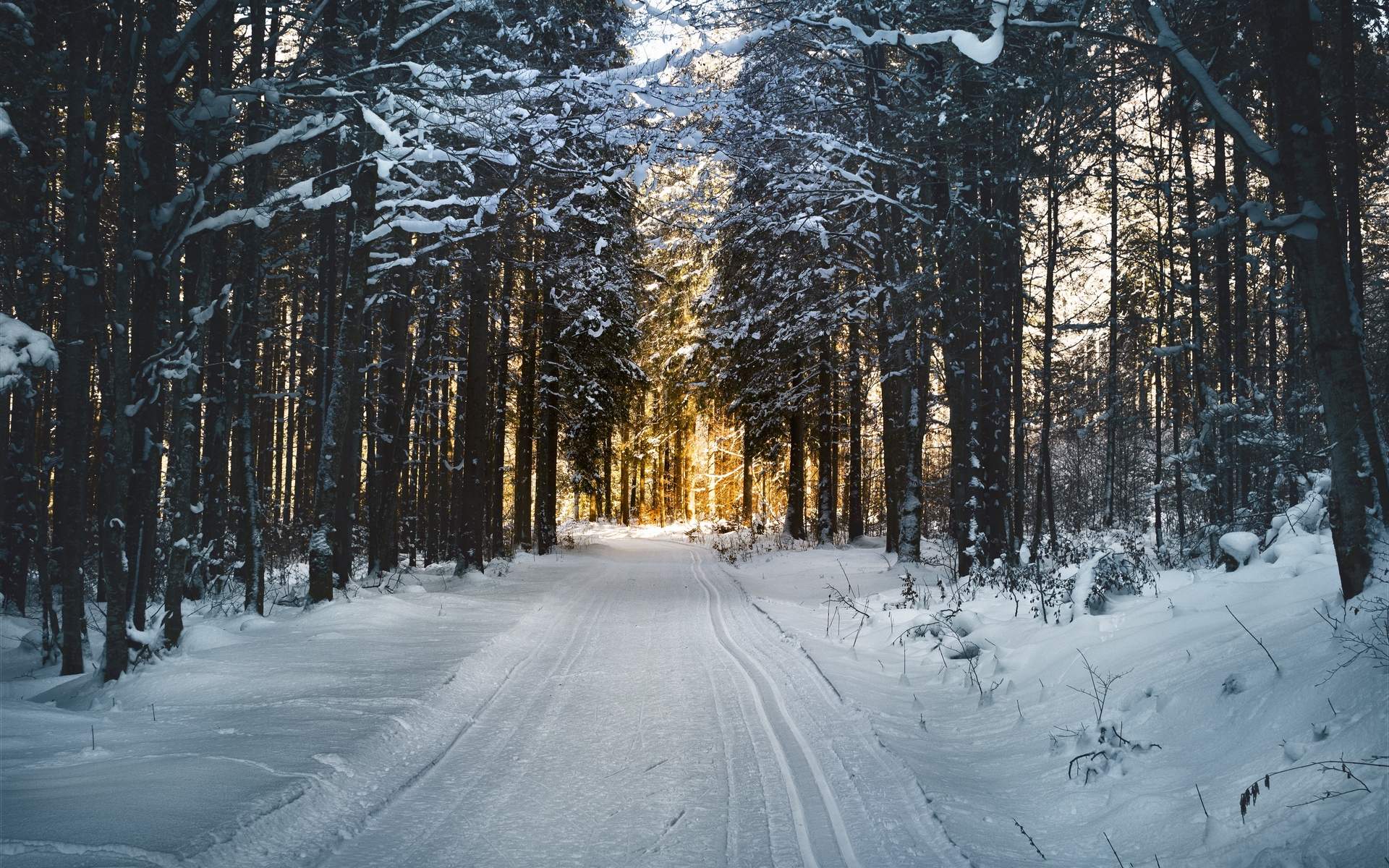 郑秀妍日本函馆冬日雪景唯美写真图片图片