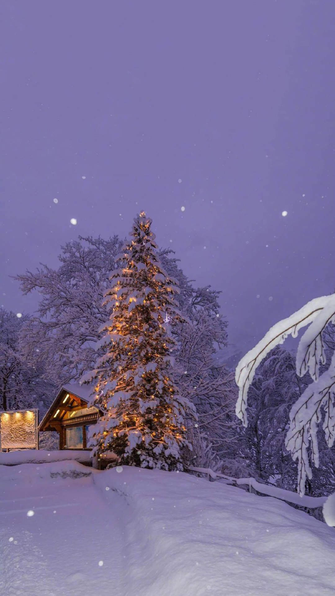 郑秀妍日本函馆冬日雪景唯美写真图片图片