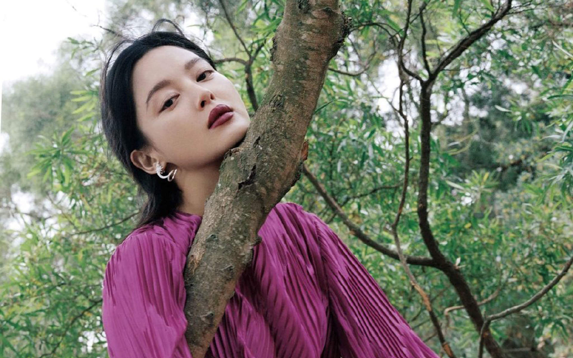 辛芷蕾图片