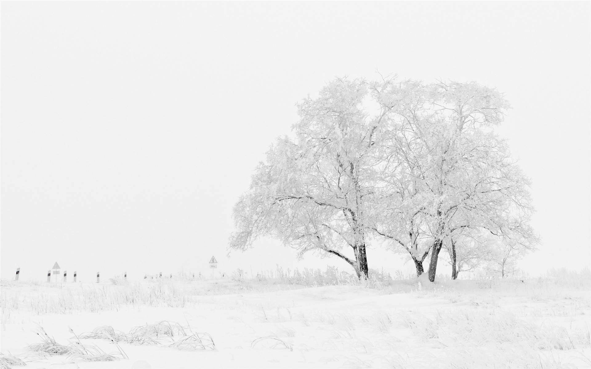 郑秀妍日本函馆冬日雪景唯美写真图片图片