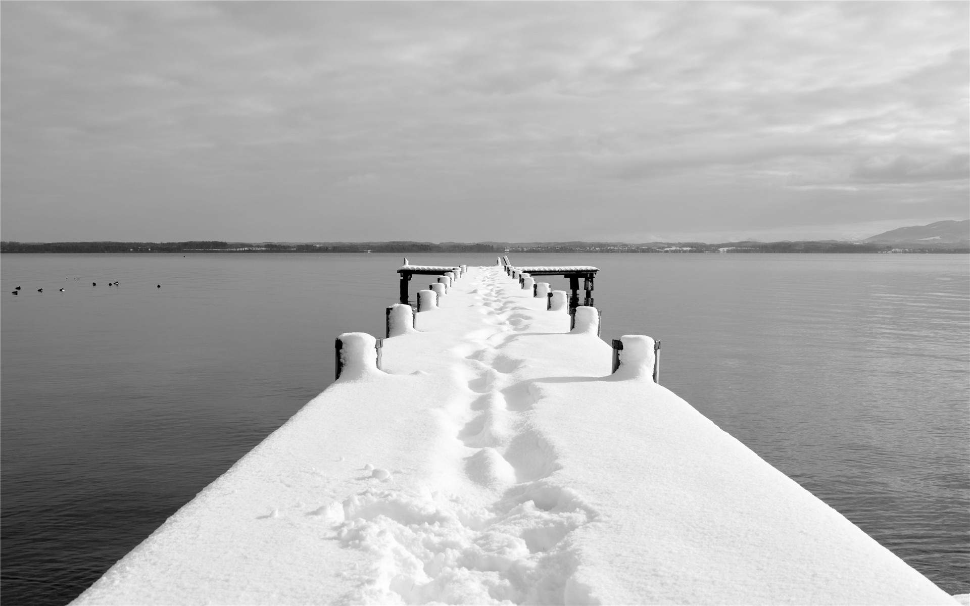 郑秀妍日本函馆冬日雪景唯美写真图片图片