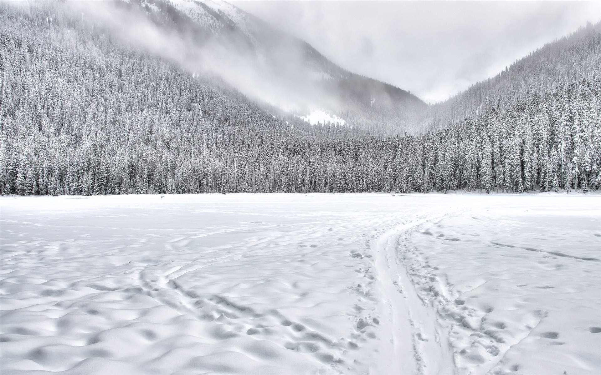 郑秀妍日本函馆冬日雪景唯美写真图片图片