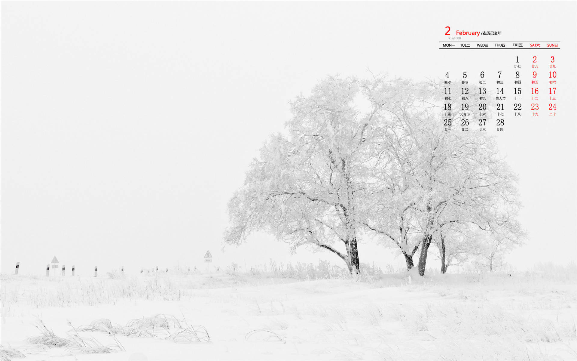 郑秀妍日本函馆冬日雪景唯美写真图片图片