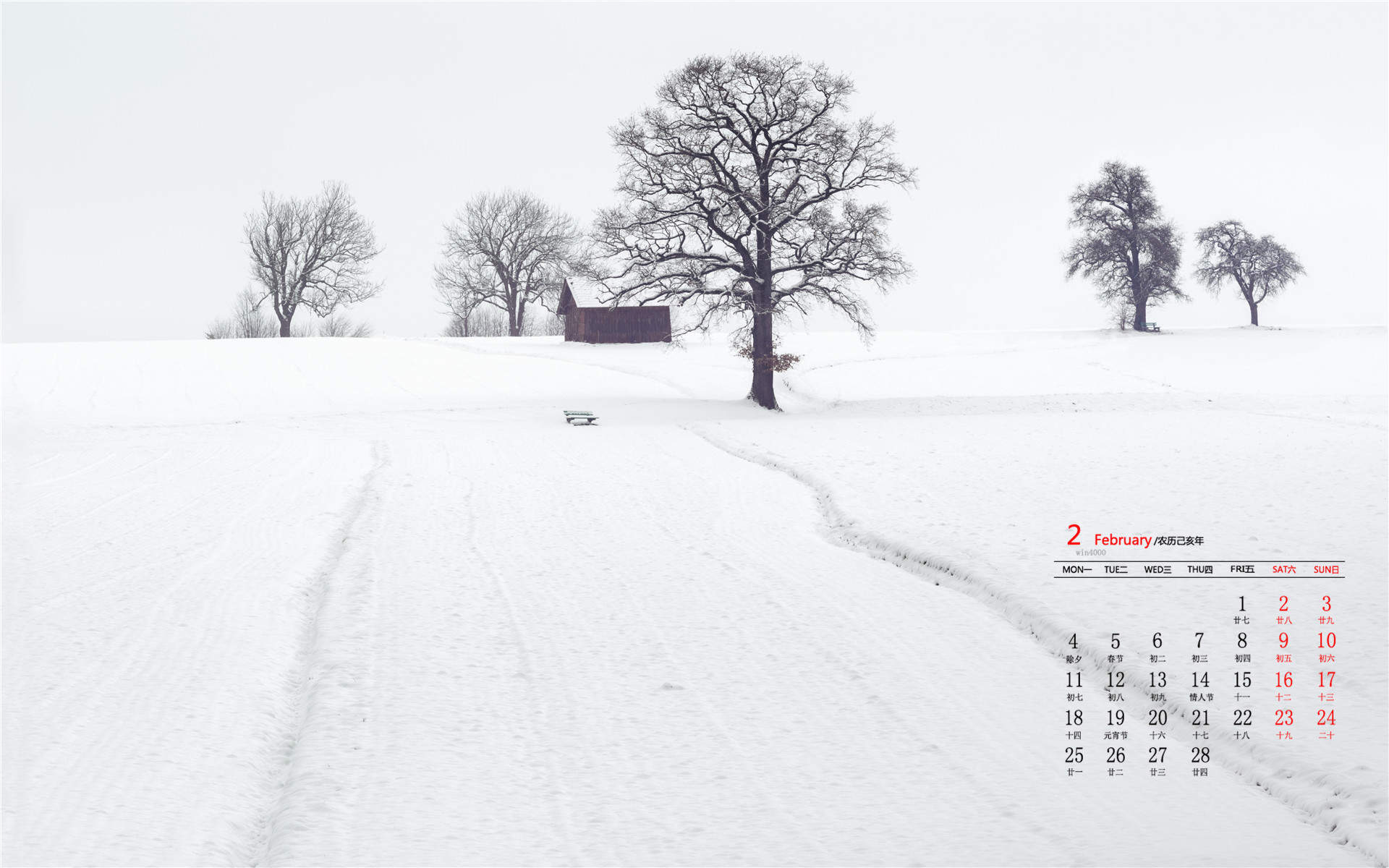 郑秀妍日本函馆冬日雪景唯美写真图片图片