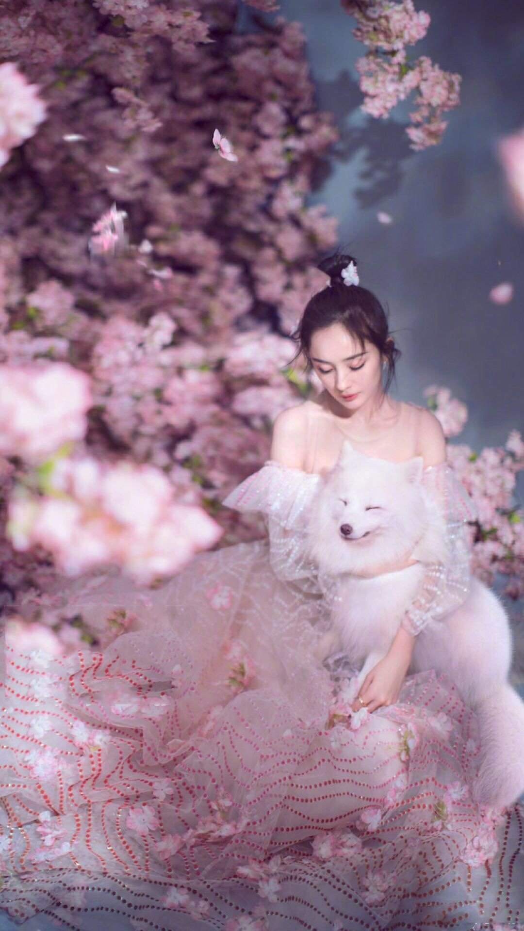杨幂图片
