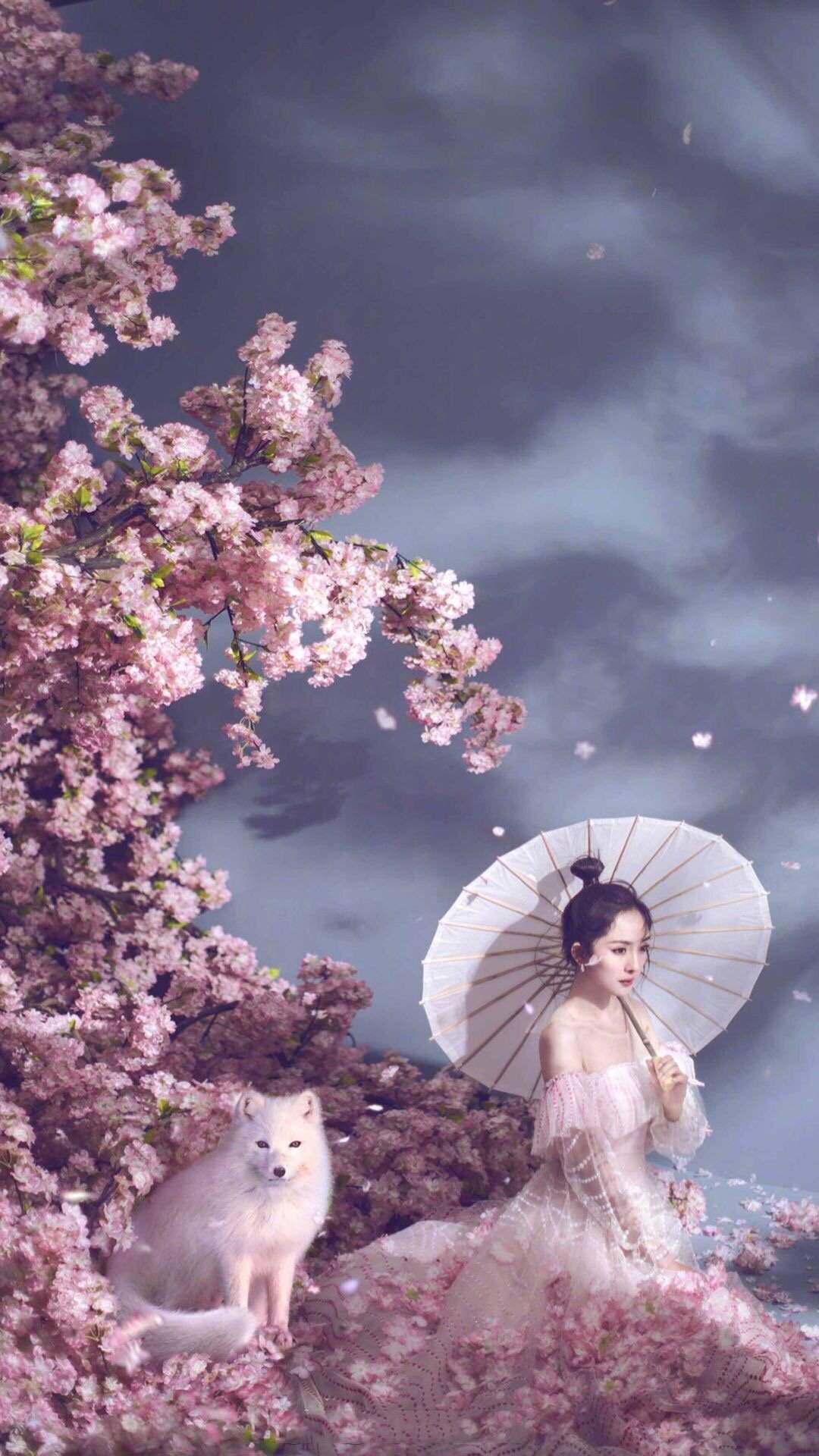 杨幂图片