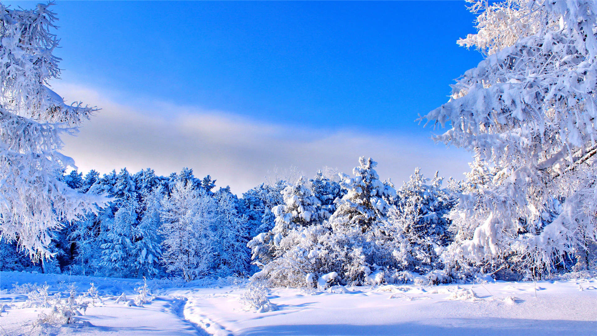 郑秀妍日本函馆冬日雪景唯美写真图片图片