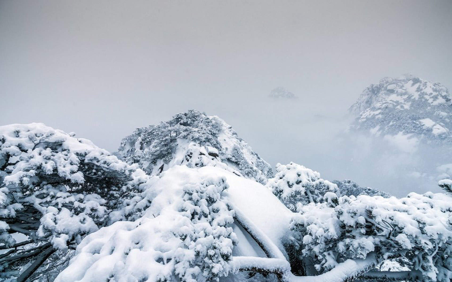 雪景图片