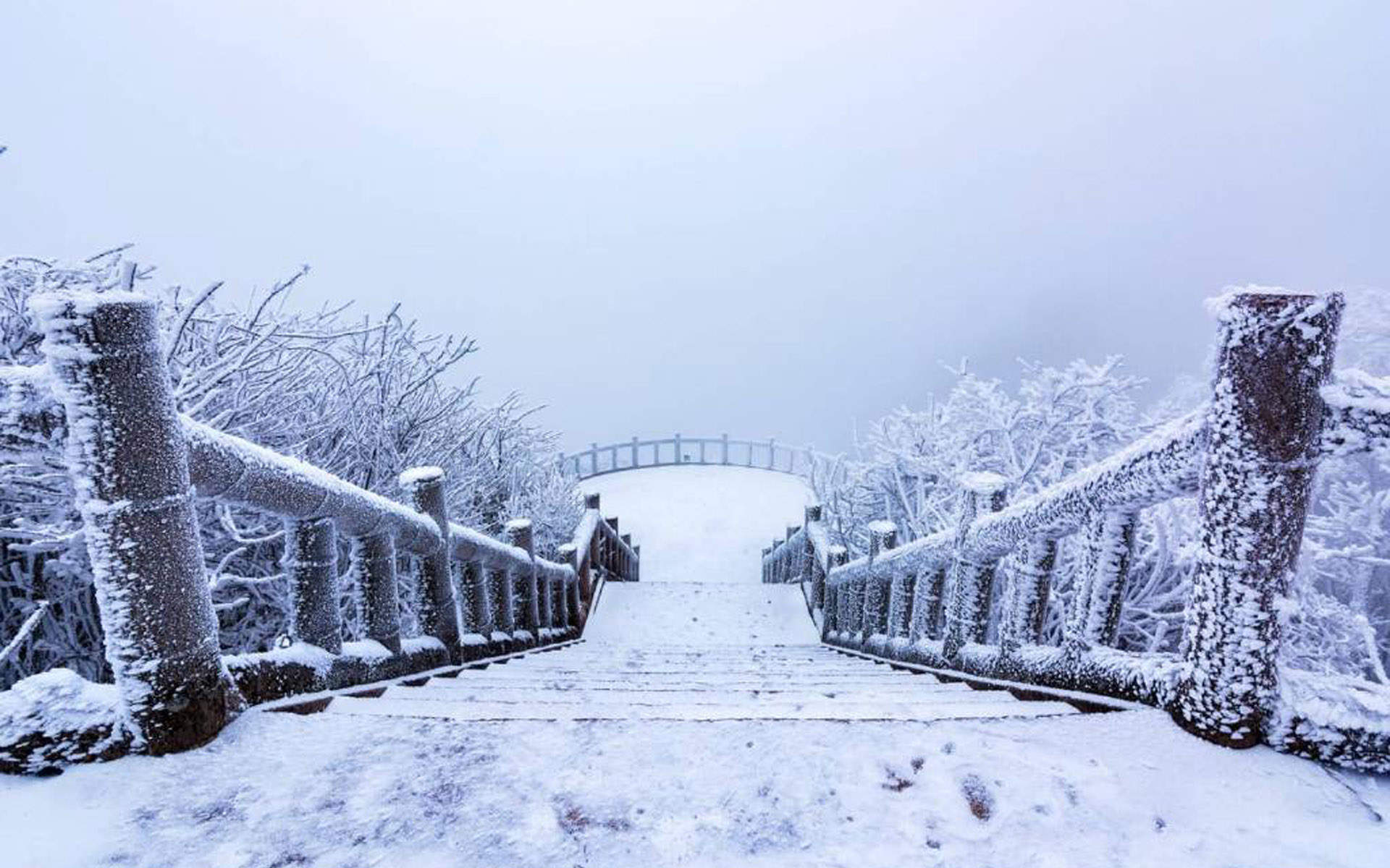 雪景图片