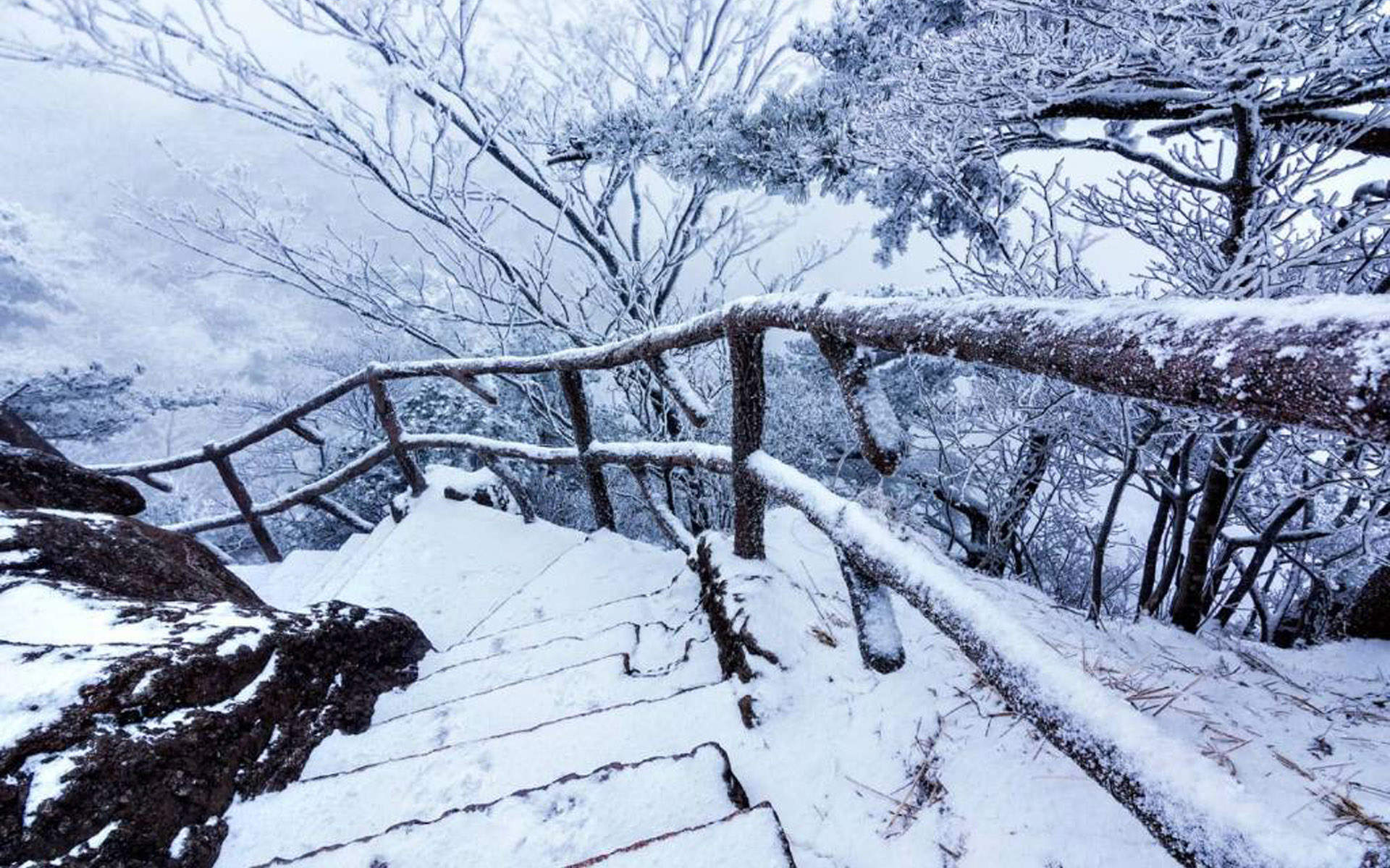 雪景图片