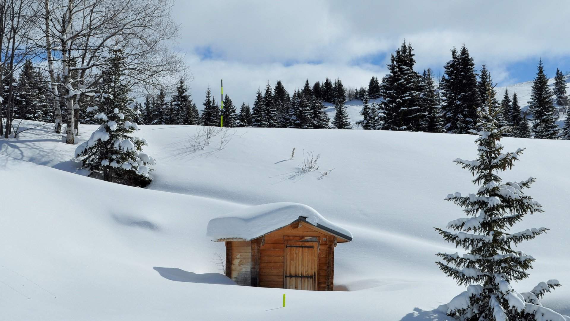郑秀妍日本函馆冬日雪景唯美写真图片图片
