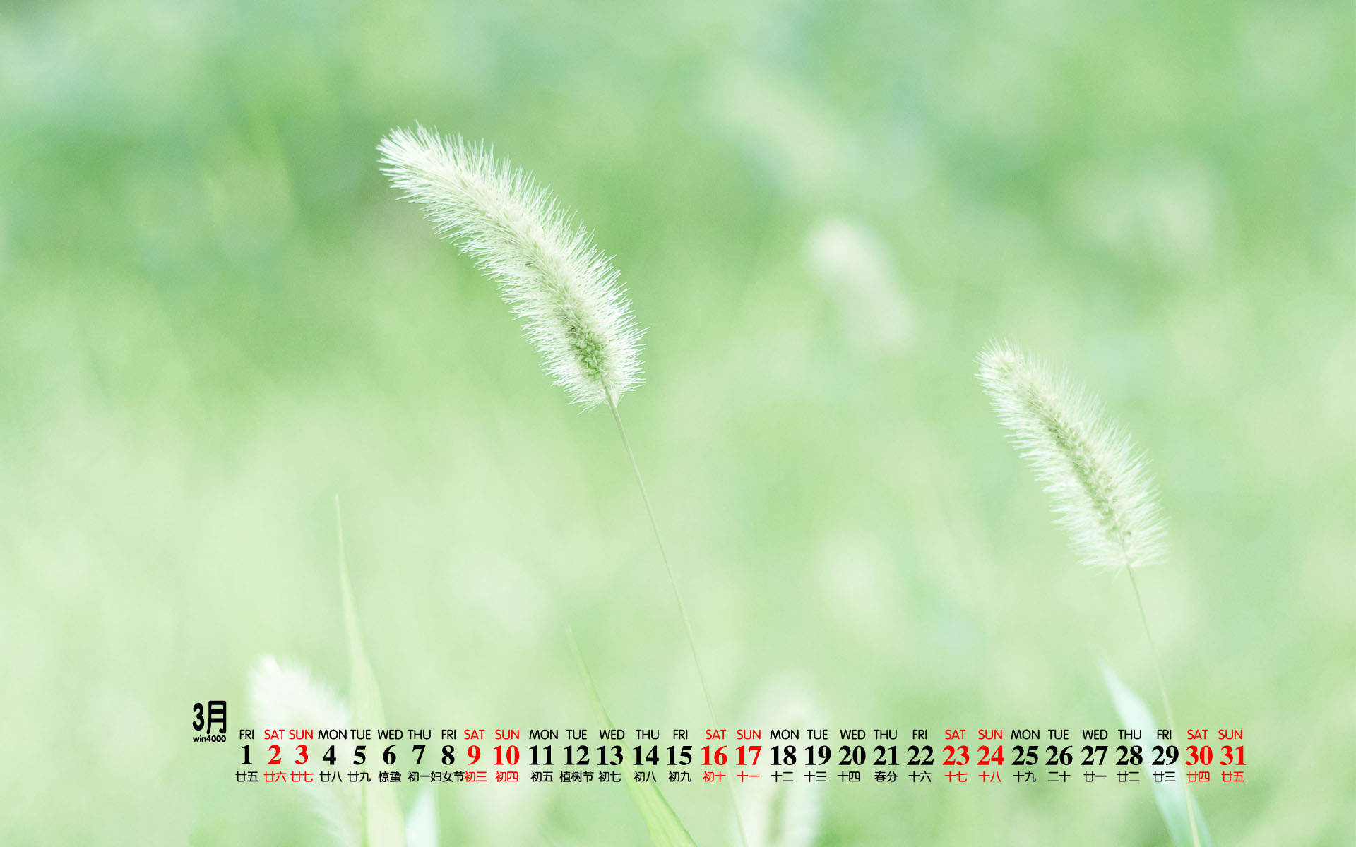 2019年12月文艺小清新绿色桌面日历壁纸图片