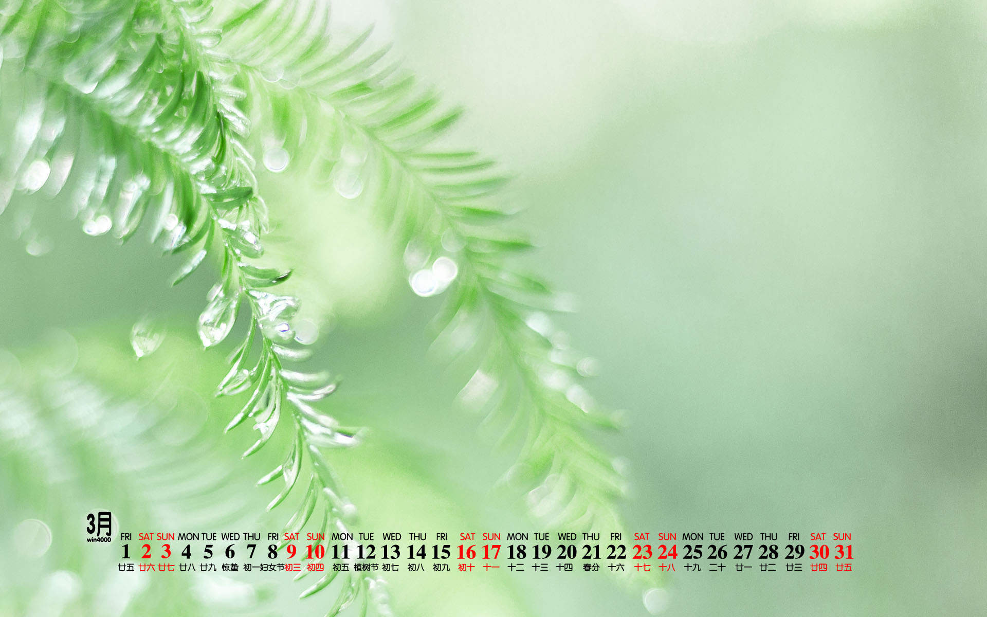 2020年9月夏季护眼绿色桌面日历壁纸图片