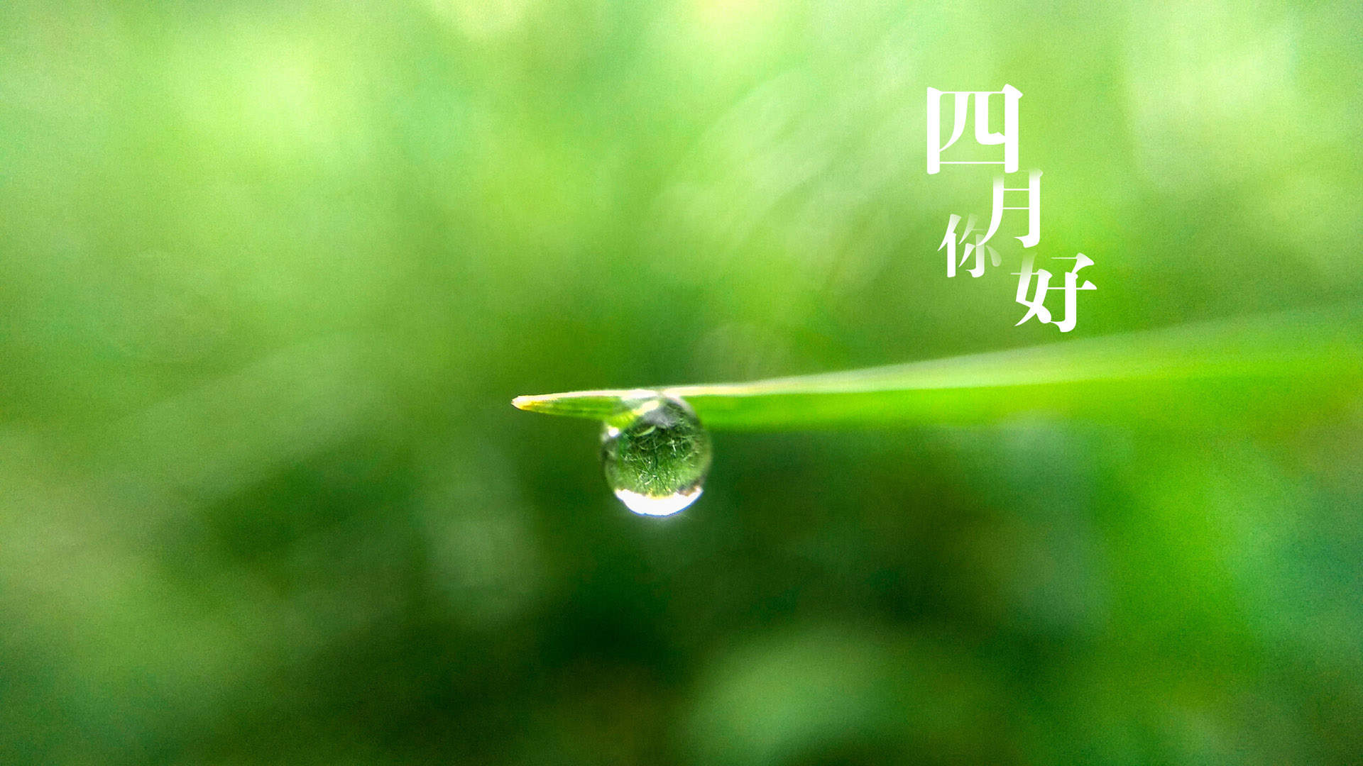 宋轶性感迷人写真图片电脑壁纸图片