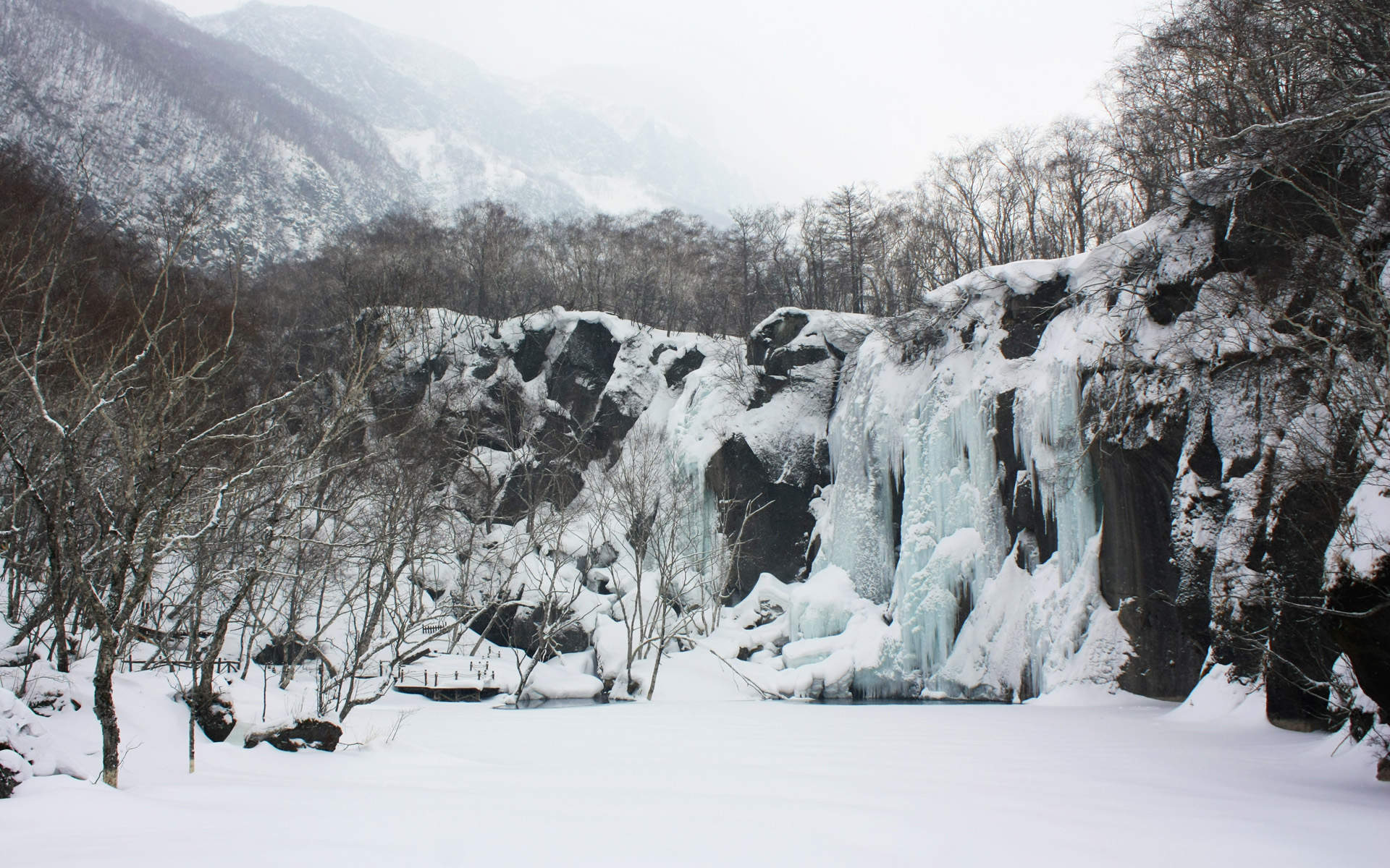 雪景图片