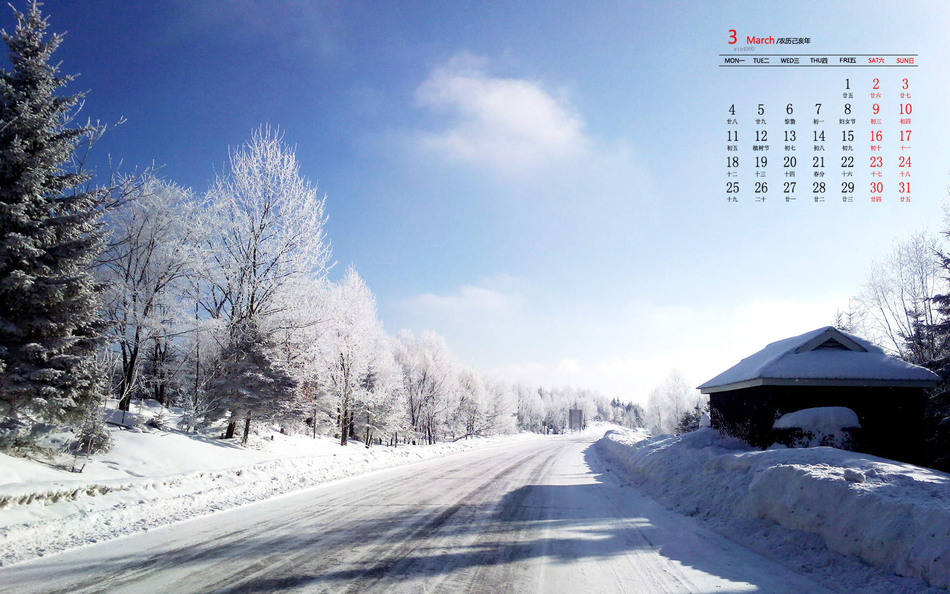 郑秀妍日本函馆冬日雪景唯美写真图片图片
