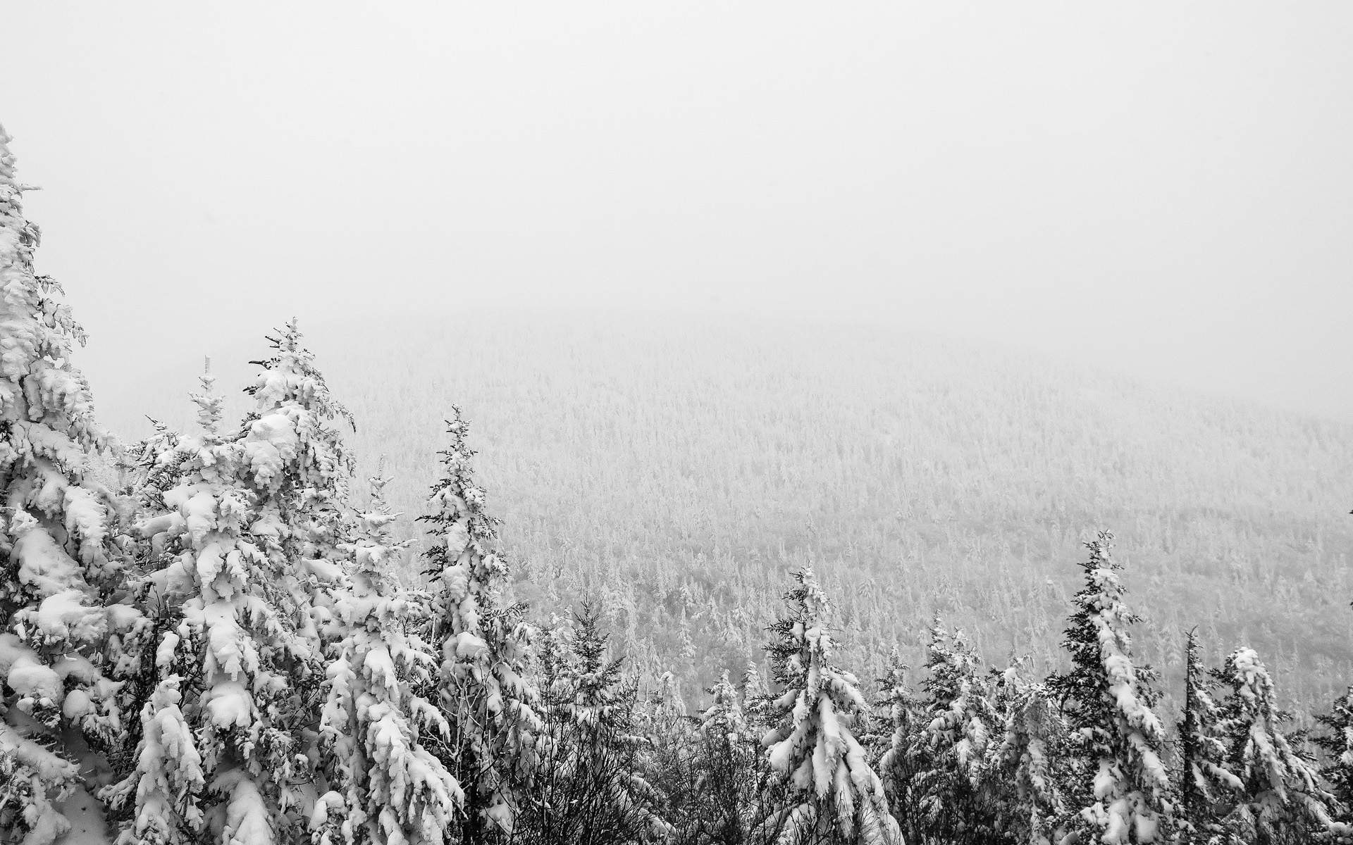 雪景图片