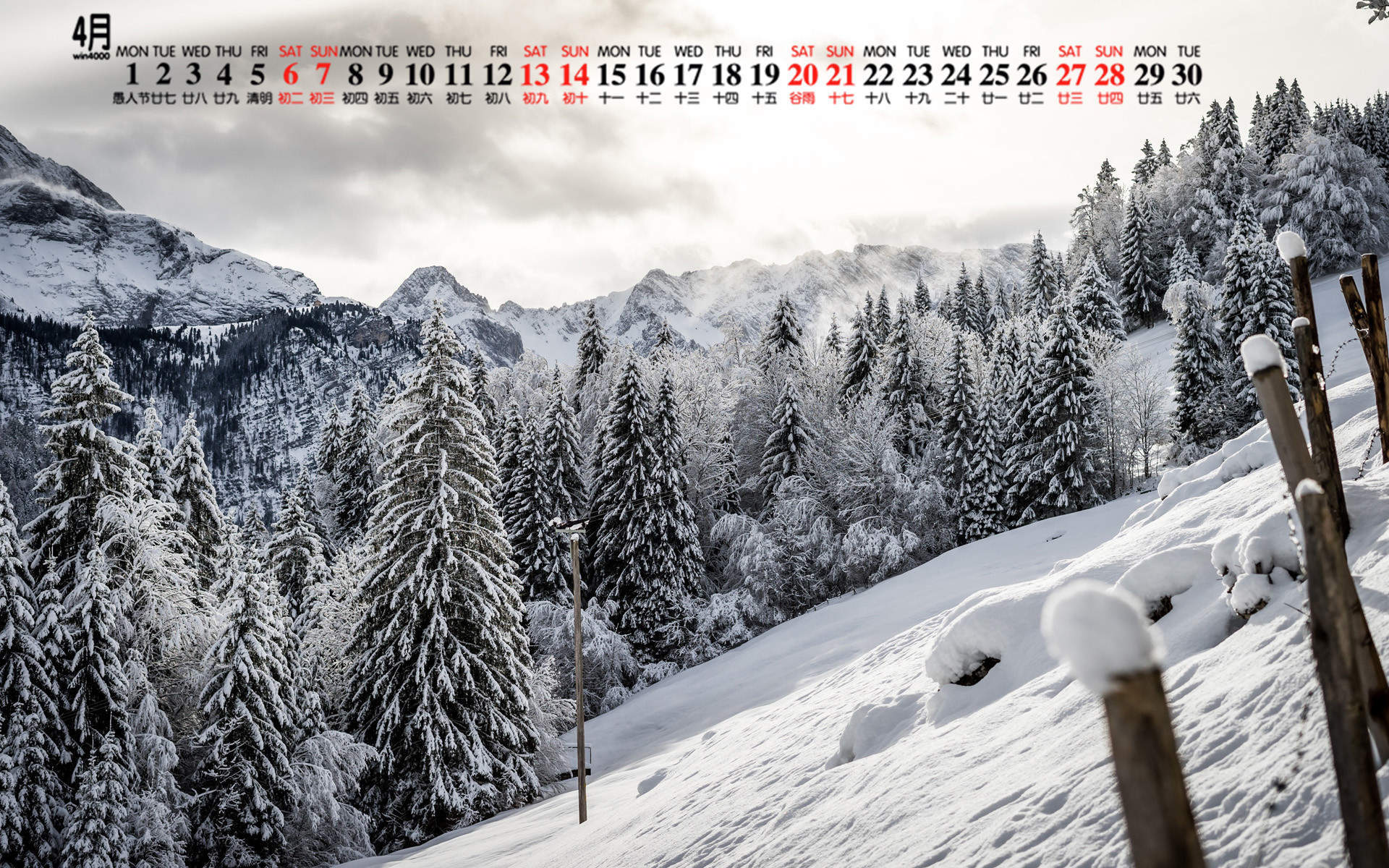 郑秀妍日本函馆冬日雪景唯美写真图片图片
