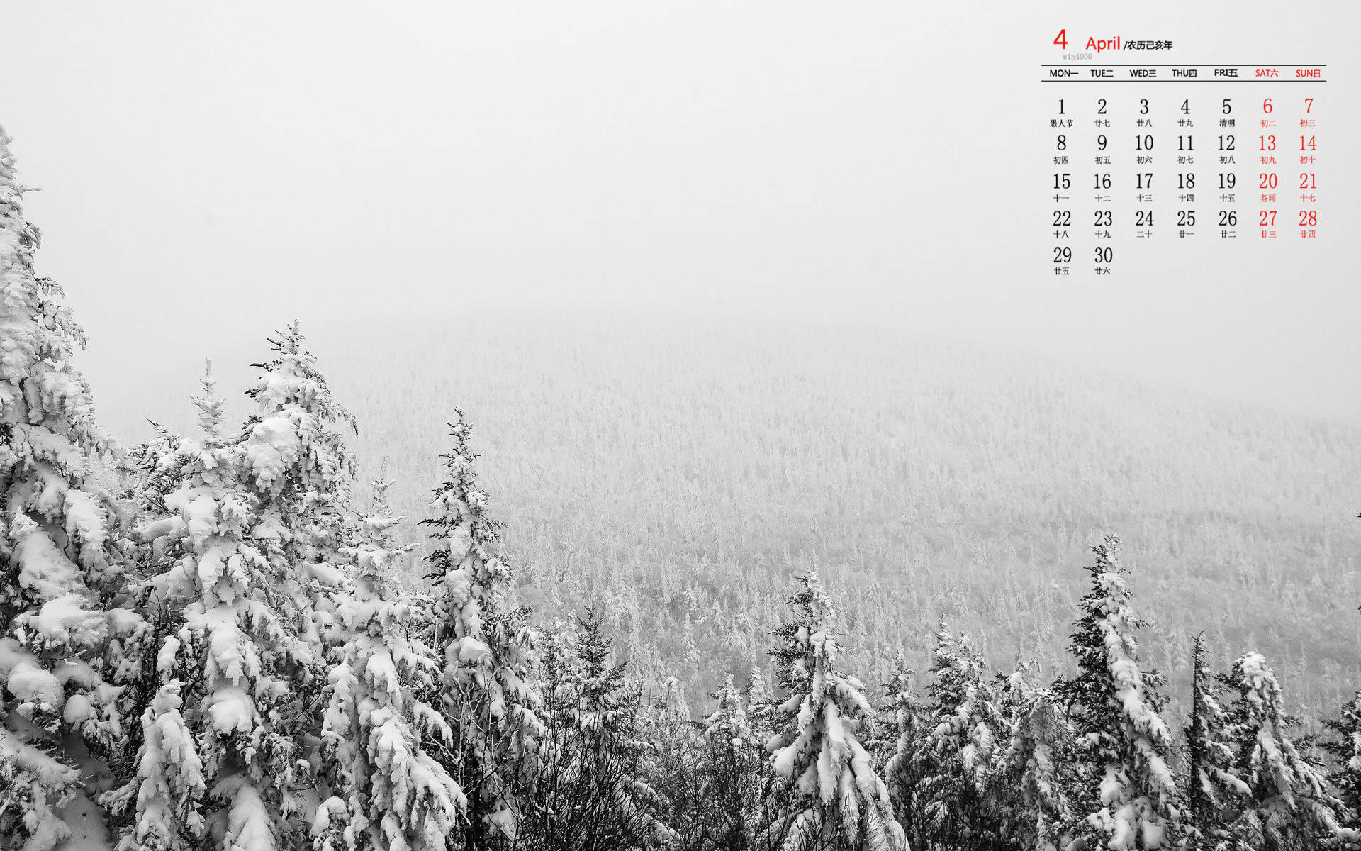 郑秀妍日本函馆冬日雪景唯美写真图片图片