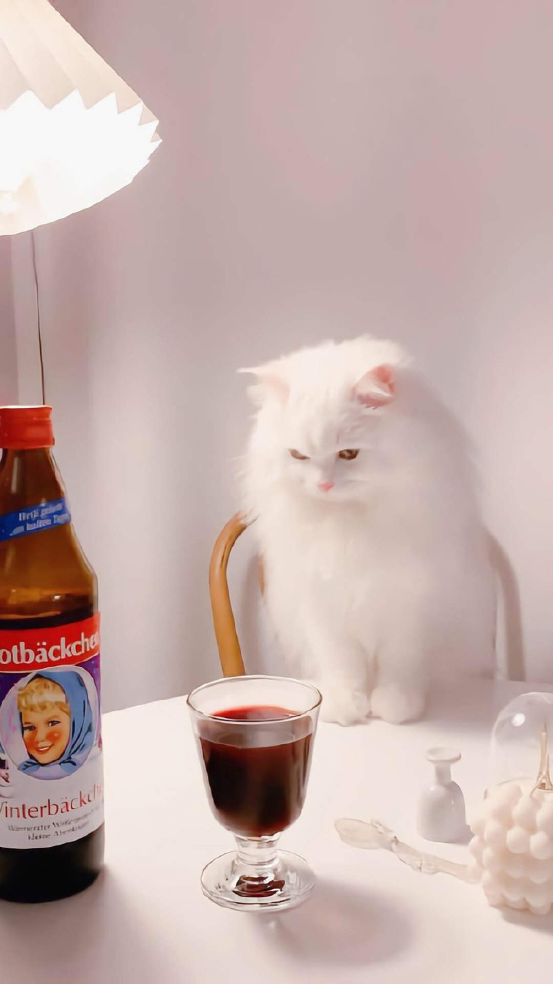 超可爱小猫图片高清手机壁纸图片