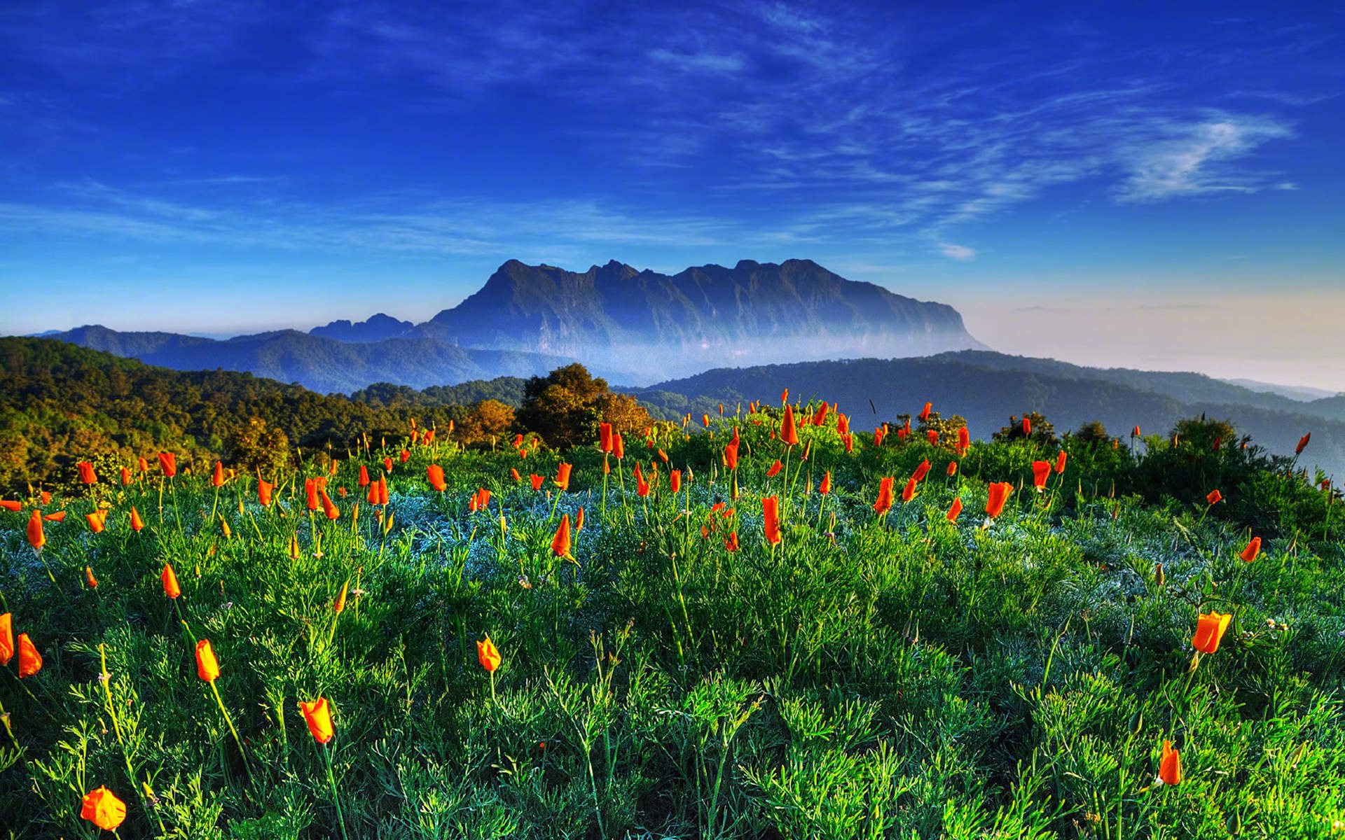 浪漫七夕意境风景高清桌面壁纸图片