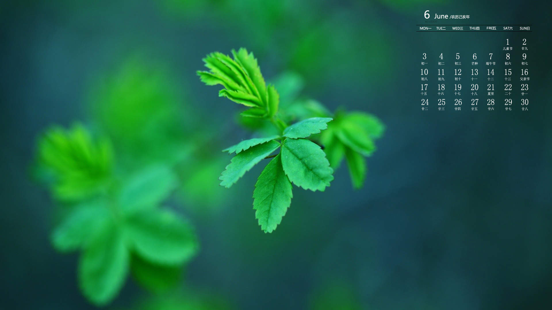 绿色植物图片