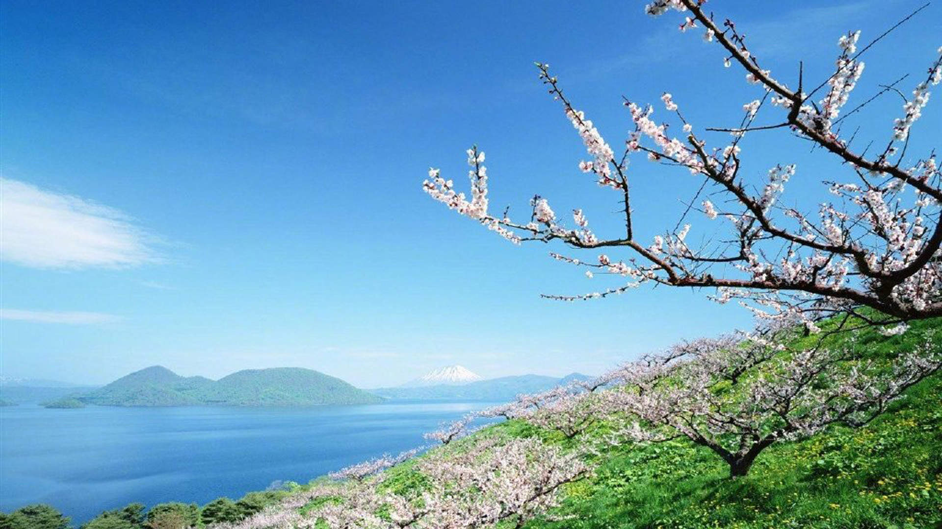 清新护眼自然风光图片图片