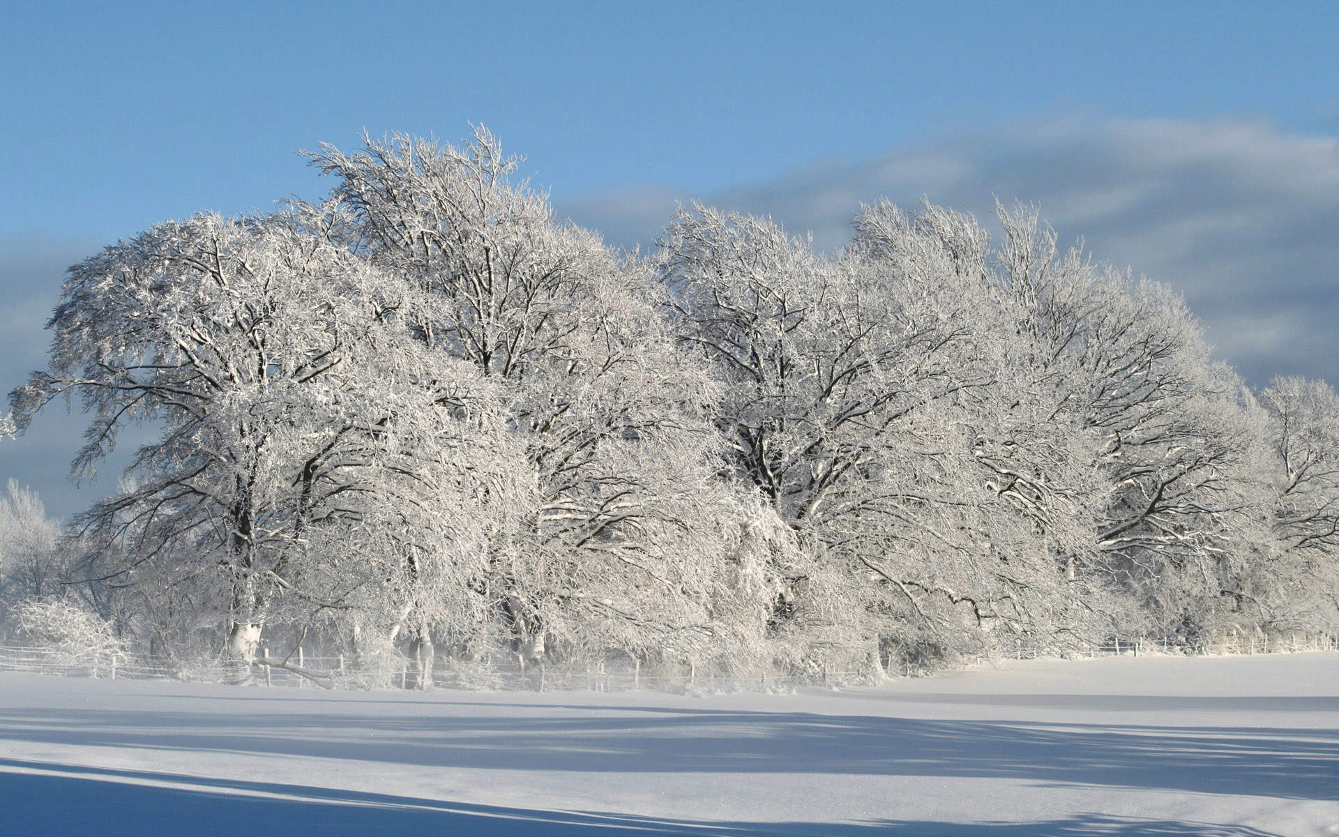 唯美冬日雪景图片手机壁纸图片