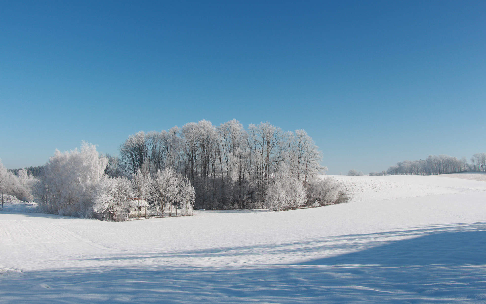 郑秀妍日本函馆冬日雪景唯美写真图片图片