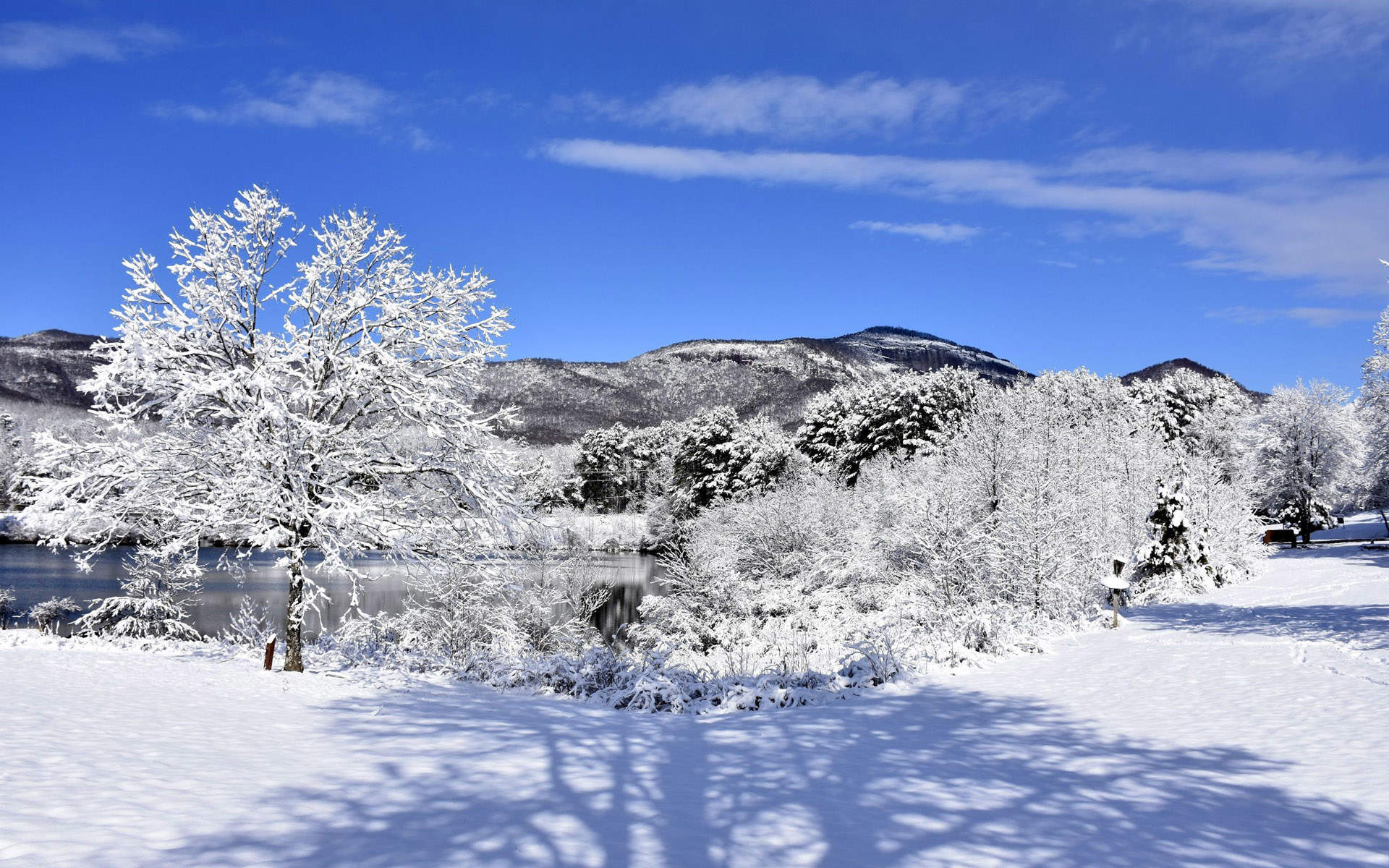 郑秀妍日本函馆冬日雪景唯美写真图片图片