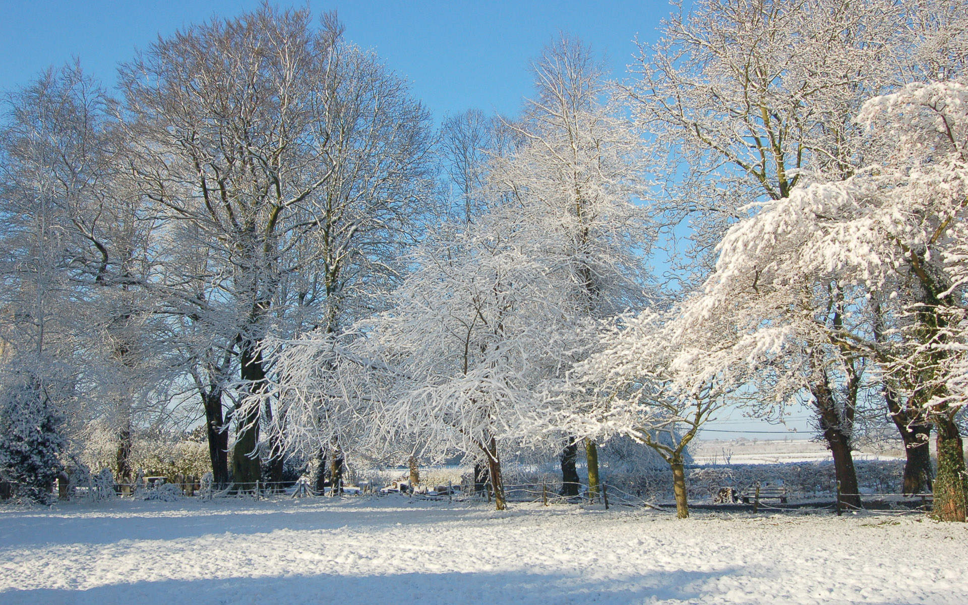 郑秀妍日本函馆冬日雪景唯美写真图片图片