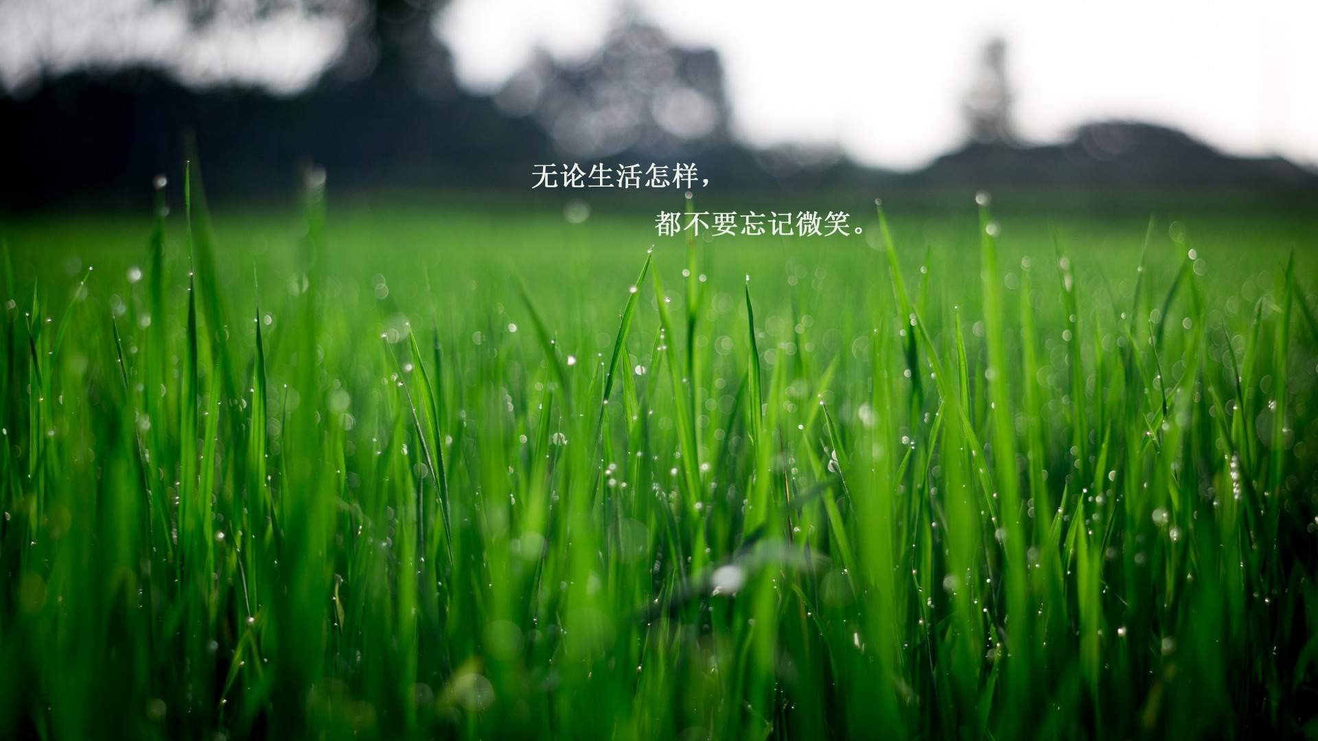 芙蓉姐姐紧身裙亮相瘦至85斤堪称“励志姐”图片