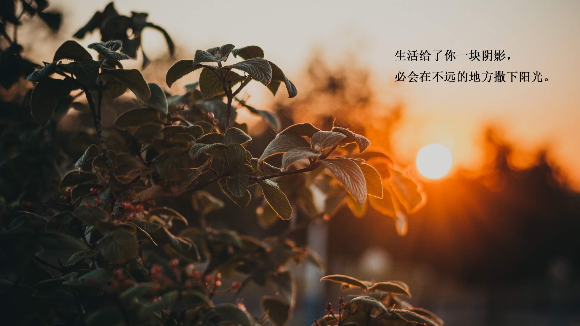 芙蓉姐姐紧身裙亮相瘦至85斤堪称“励志姐”图片