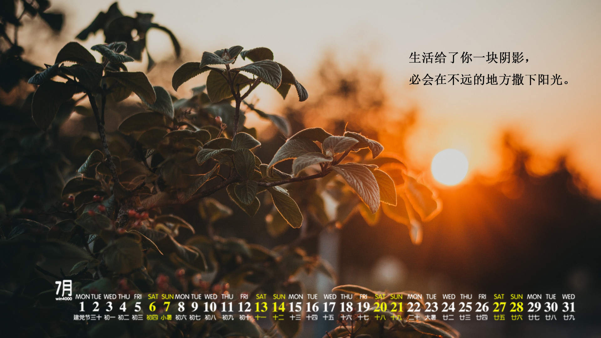 芙蓉姐姐紧身裙亮相瘦至85斤堪称“励志姐”图片