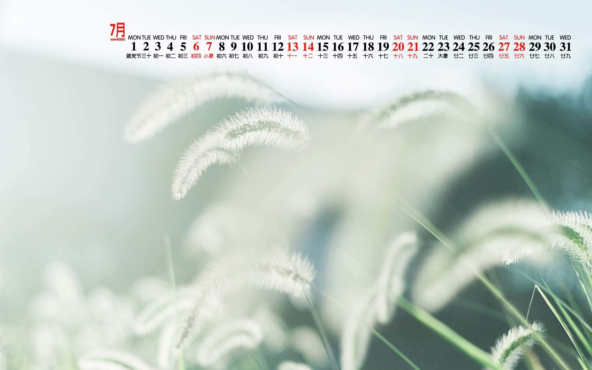 2019年12月文艺小清新绿色桌面日历壁纸图片